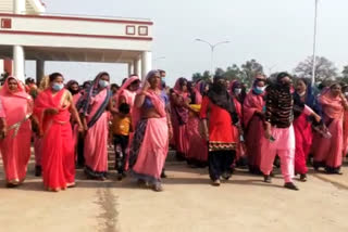 Anganwadi worker