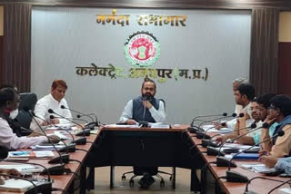 Collector during review meeting