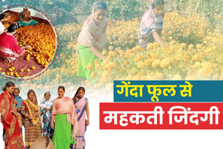 women-are-becoming-self-sufficient-by-cultivating-marigold-flowers-in-chatra