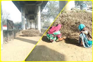 DDA cleared the garbage dump under metro line in Dwarka