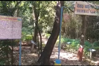 Sanjeevini Park in Dharwad