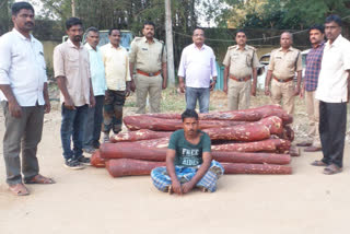 red sandalwood seized