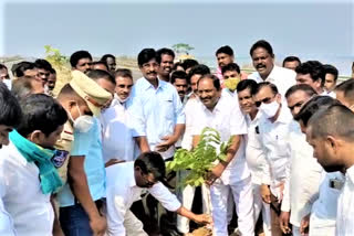 Minister Koppula planted trees in Green India Challenge in rajanna siricilla