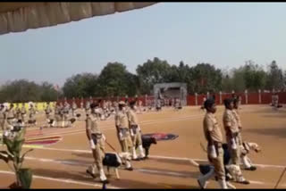 Sniffer dogs’ passing out parade in Hyderabad