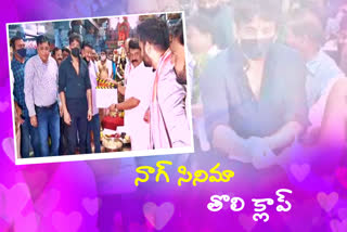 akkineni nagarjuna visited secunderabad ganesh temple