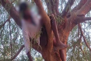 a dead body found on tree at mysore