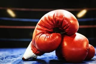 haryana ten boxers youth world boxing championship