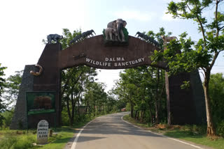 10 wildlife sanctuaries will be developed including dalma century in seraikela