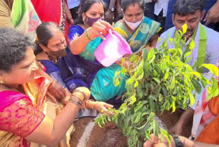 mlc Kalvakuntla Kavitha visits an urban nature park