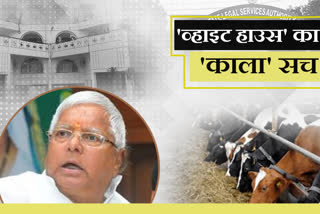 Bihar White House symbol of animal husbandry scam