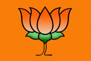 BJP Announces Candidates For Bypolls For 2 Rajya Sabha Seats In Gujarat