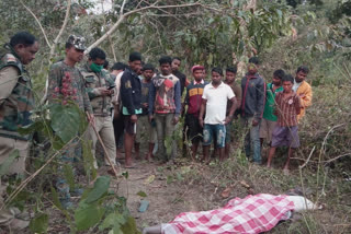 3 ladies die in elephant attack in jalpaiguri duars