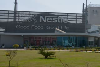 Nestle India's Q3 profit up marginally to Rs 483 crore