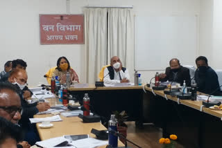 वन मंत्री ने ली अधिकारियों की बैठक, Forest minister took meeting of officials