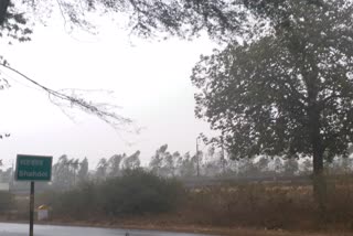 Shahdol weather becomes cold due to sudden rain