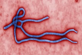 Ebola fears again in Africa