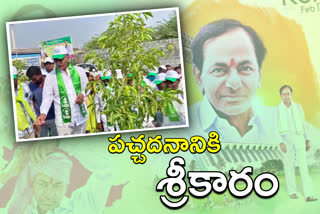 10వేల మొక్కలు నాటే కార్యక్రమానికి మంత్రి హరీశ్​ శ్రీకారం