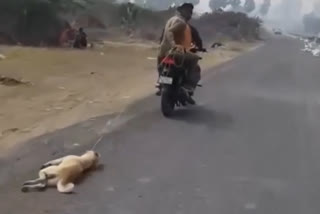 WATCH: Surat man drags dog on moving bike