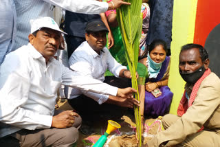 Collector Rahul Raj planted saplings in Kagaznagar, Komaram Bheem district