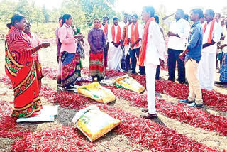 fourth phase panchayati elections campaign in kurnool west