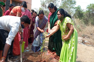 Minister Satyavathi planted plants in Koti Vriksharchana