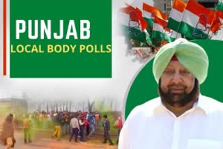 Punjab local body polls