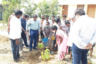 Green india challenge by nagar kurnool collector today