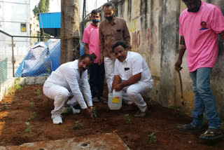 Thulasi plants plantation in kphb in hyderabad by trs division president sai baba
