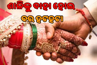 ବାହା ବେଦୀରୁ କନ୍ୟା ଫେରାର, ଶାଳିକୁ ବାହା ହୋଇ ହଟହଟା ବର