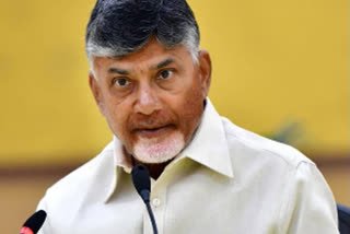 tdp leader chandrababu naidu wrote a letter to state election commission