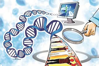 dna bill, opinion, human rights