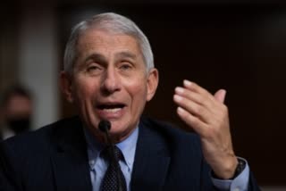 US President Chief Medical Advisor Anthony Fauci