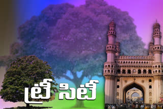 hyderabad-city-recognized-as-the-tree-city-of-the-world