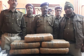 begusarai hemp recovered