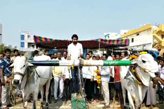 state level bulls race competition in kurnool district