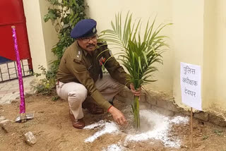 SP planted tree in cyber police station In deoghar