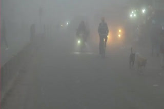 fog affects visibility of delhi