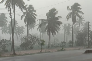 Rainfall over Chitradurga district, Rainfall over Chitradurga district from last four hours, Chitradurga rain, Chitradurga rain news, ಚಿತ್ರದುರ್ಗ ಜಿಲ್ಲೆಯಾದ್ಯಂತ ಮಳೆ, ಕಳೆದ ನಾಲ್ಕು ಗಂಟೆಗಳಿಂದ ಚಿತ್ರದುರ್ಗ ಜಿಲ್ಲೆಯಾದ್ಯಂತ ಮಳೆ, ಚಿತ್ರದುರ್ಗ ಮಳೆ, ಚಿತ್ರದುರ್ಗ ಮಳೆ ಸುದ್ದಿ,