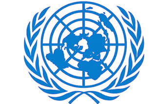 India rejects comments on Jammu and Kashmir by UN Special Rapporteurs