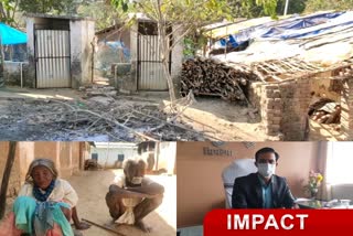 impact-of-etv-bharat-on-news-of-birhors-misery-in-simdega