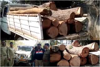 Wood loaded pick-up seized in keonjhar