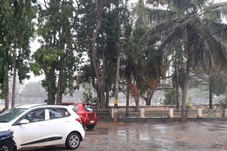 Rain in Chikkamagalore