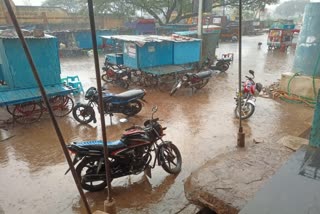 rain at muddebihala