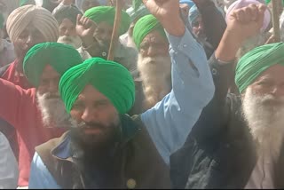 Barnala: Farmers' permanent front continues on 142nd day