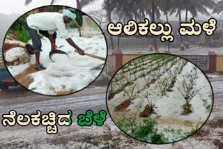 Heavy Hail rains in Hassan