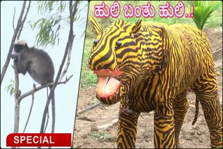 farmer  saved crops  from monkeys by placing duplicate  tiger  in land