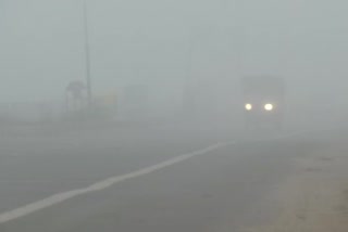 Fog affects visibility in the Delhi-NCR