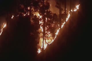 ڈوڈہ: جنگل میں آگ لگنے سے سینکڑوں پیڑ جل کر خاکستر