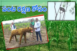 Farmer using a tiger doll to scare the monkeys to protect his crops in Karnataka
