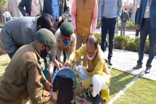 CM Shivraj planted sapling in the ministry